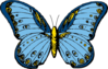 Blue And Yellow Butterfly Clip Art